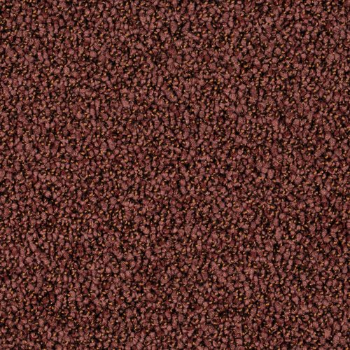 Format 25 Tapijt Robust 400cm Kleur 15