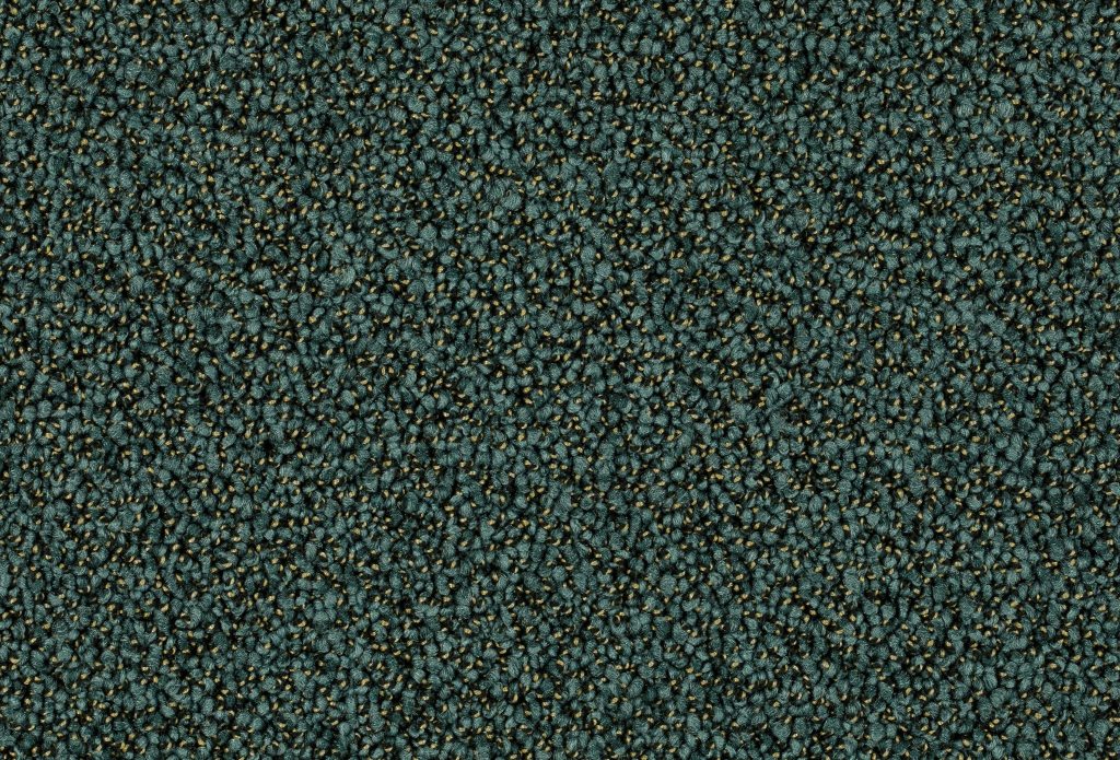 Format 25 Tapijt Robust 400cm Kleur 25