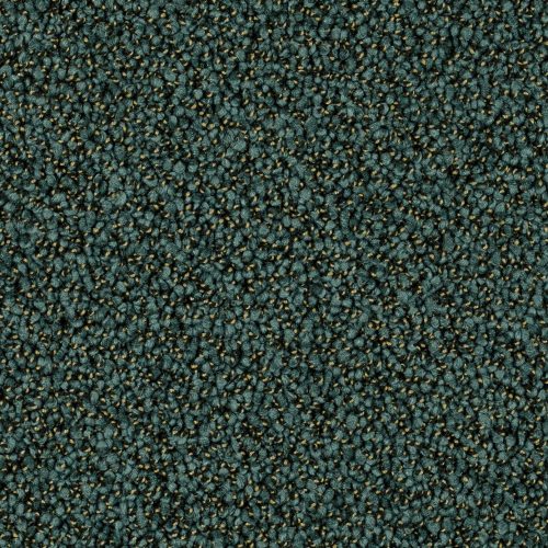 Format 25 Tapijt Robust 400cm Kleur 25