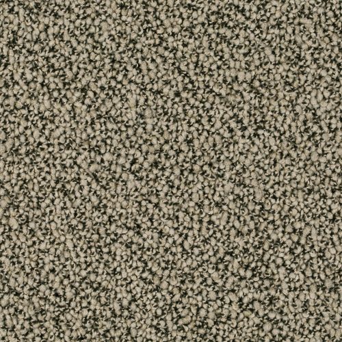 Format 25 Tapijt Robust 400cm Kleur 33