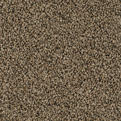 Format 25 Tapijt Robust 400cm Kleur 37