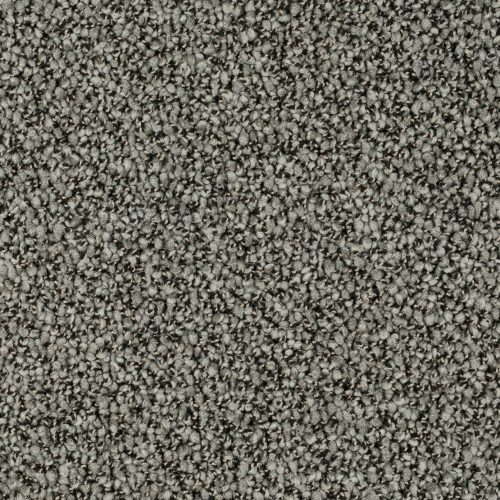 Format 25 Tapijt Robust 400cm Kleur 94