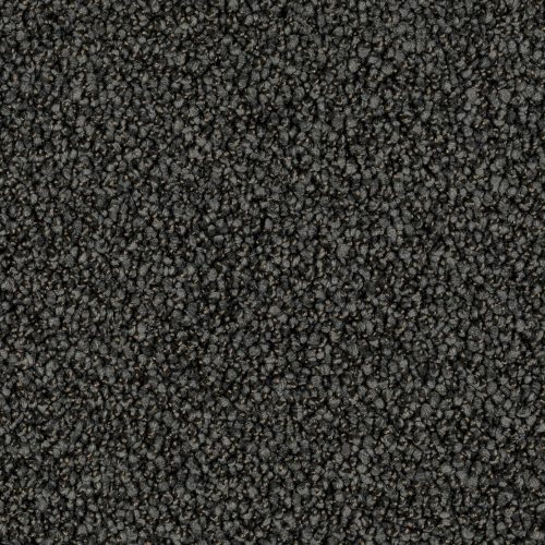 Format 25 Tapijt Robust 400cm Kleur 98