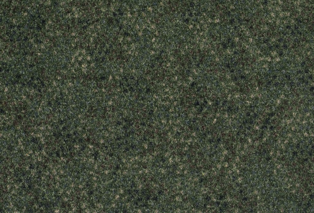 Format 25 Tapijt Vario 400cm Kleur 450