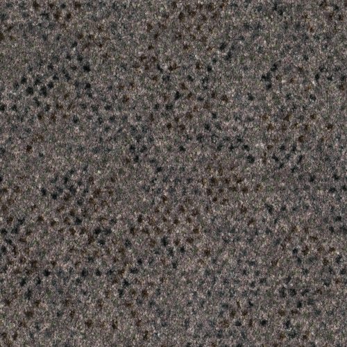 Format 25 Tapijt Vario 400cm Kleur 850