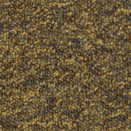 Format Modul 25 Tapijt City Kleur 202 50x50cm Pak A 5m