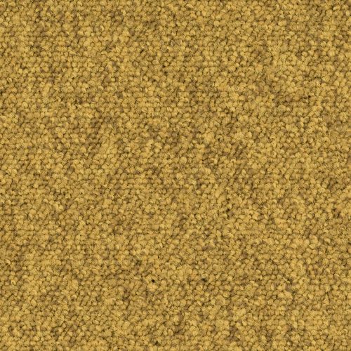 Format Modul 25 Tapijt City Kleur 204 50x50cm Pak A 5m