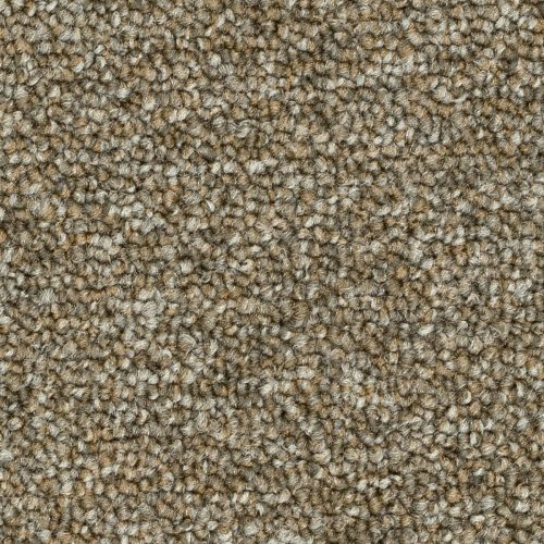 Format Modul 25 Tapijt City Kleur 802 50x50cm Pak A 5m