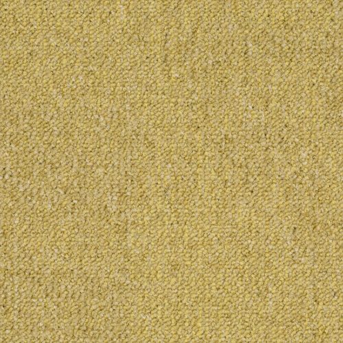 Format Modul 25 Tapijt Hit Kleur 159 50x50cm Pak A 5m