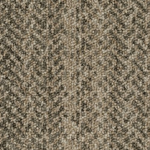 Format Modul 25 Tapijt Imola Kleur 733 50x50cm Pak A 5m