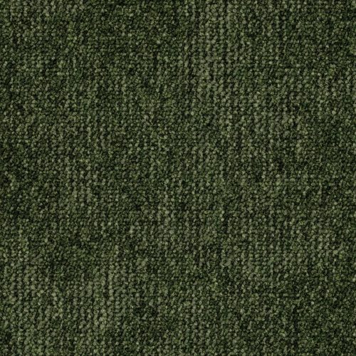 Format Modul 25 Tapijt Leo Kleur 685 50x50cm Pak A 5m