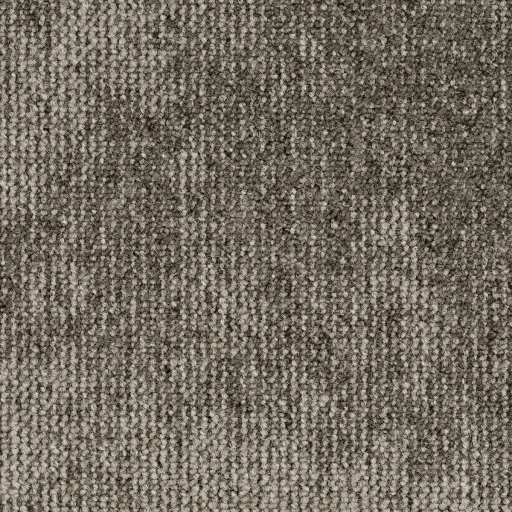 Format Modul 25 Tapijt Leo Kleur 789 50x50cm Pak A 5m