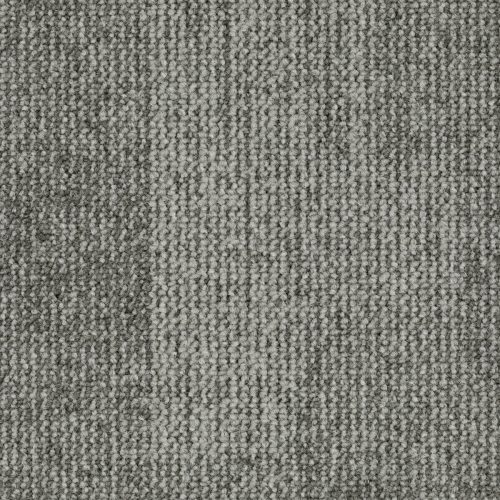 Format Modul 25 Tapijt Leo Kleur 975 50x50cm Pak A 5m