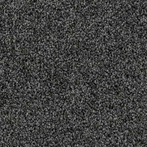 Format Modul 25 Tapijt Level Kleur 75 50x50cm Pak A 5m