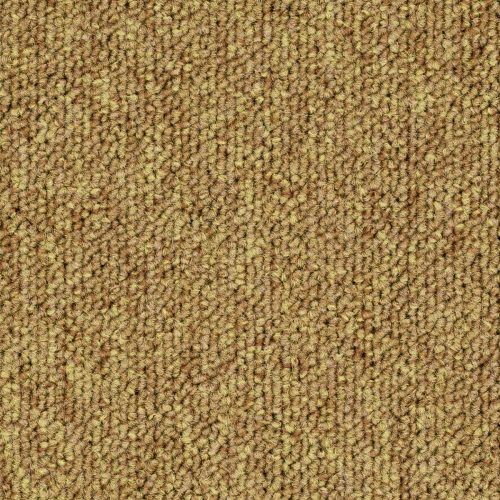 Format Modul 25 Tapijt Lido Kleur 215 50x50cm Pak A 5m