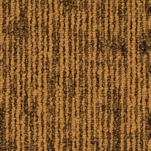 Format Modul 25 Tapijt Zoe Kleur 313 50x50cm Pak A 5m