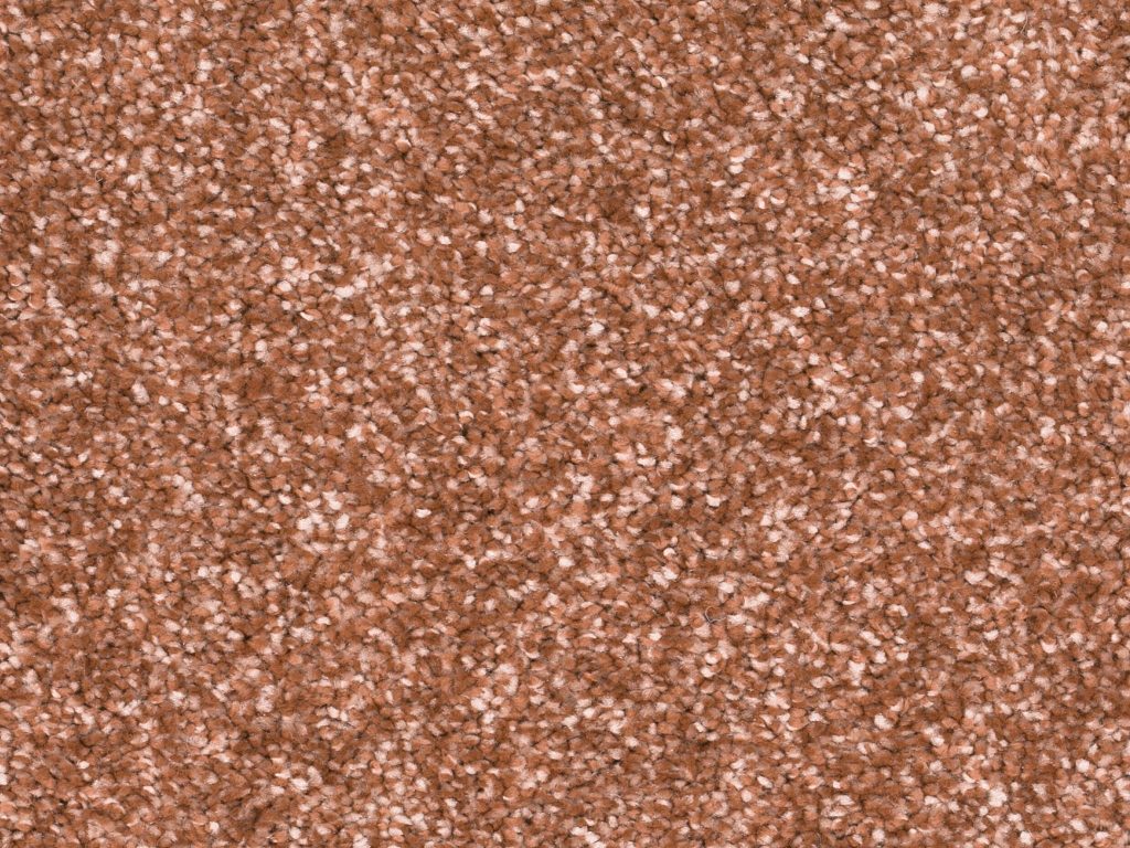 Homeline 27 Tapijt Ares 400 Cm Kleur 80