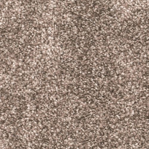 Homeline 27 Tapijt Ares 500 Cm Kleur 49