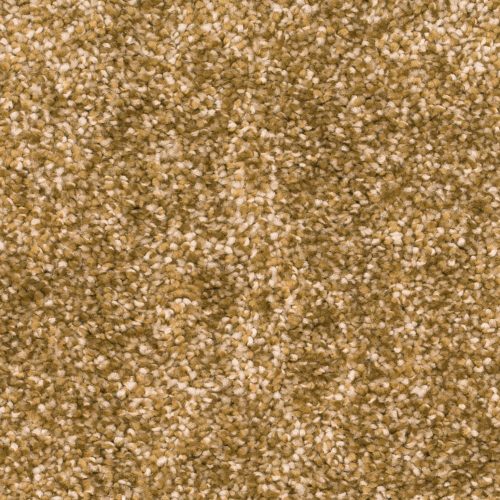 Homeline 27 Tapijt Ares 500 Cm Kleur 54