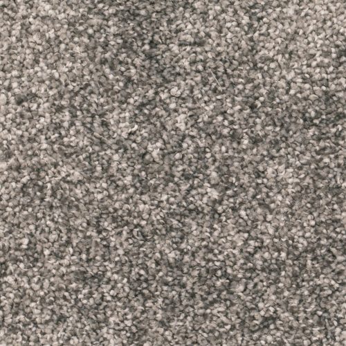 Homeline 27 Tapijt Ares 500 Cm Kleur 98