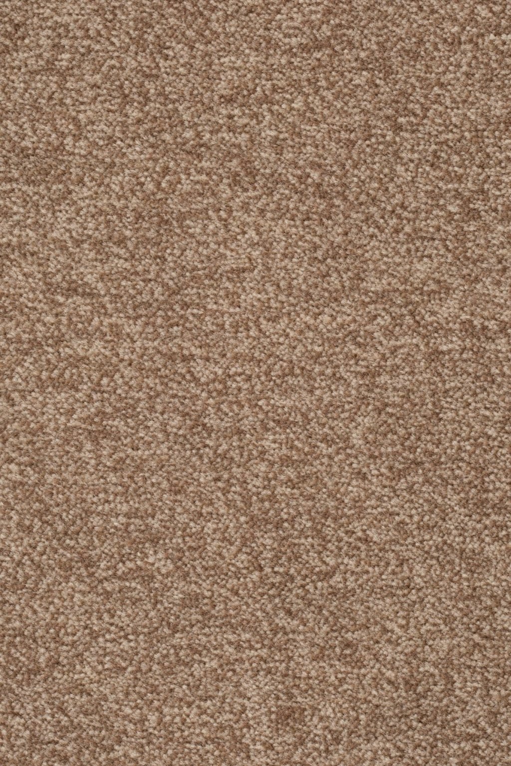 Homeline 27 Tapijt Artus 400cm Kleur 221