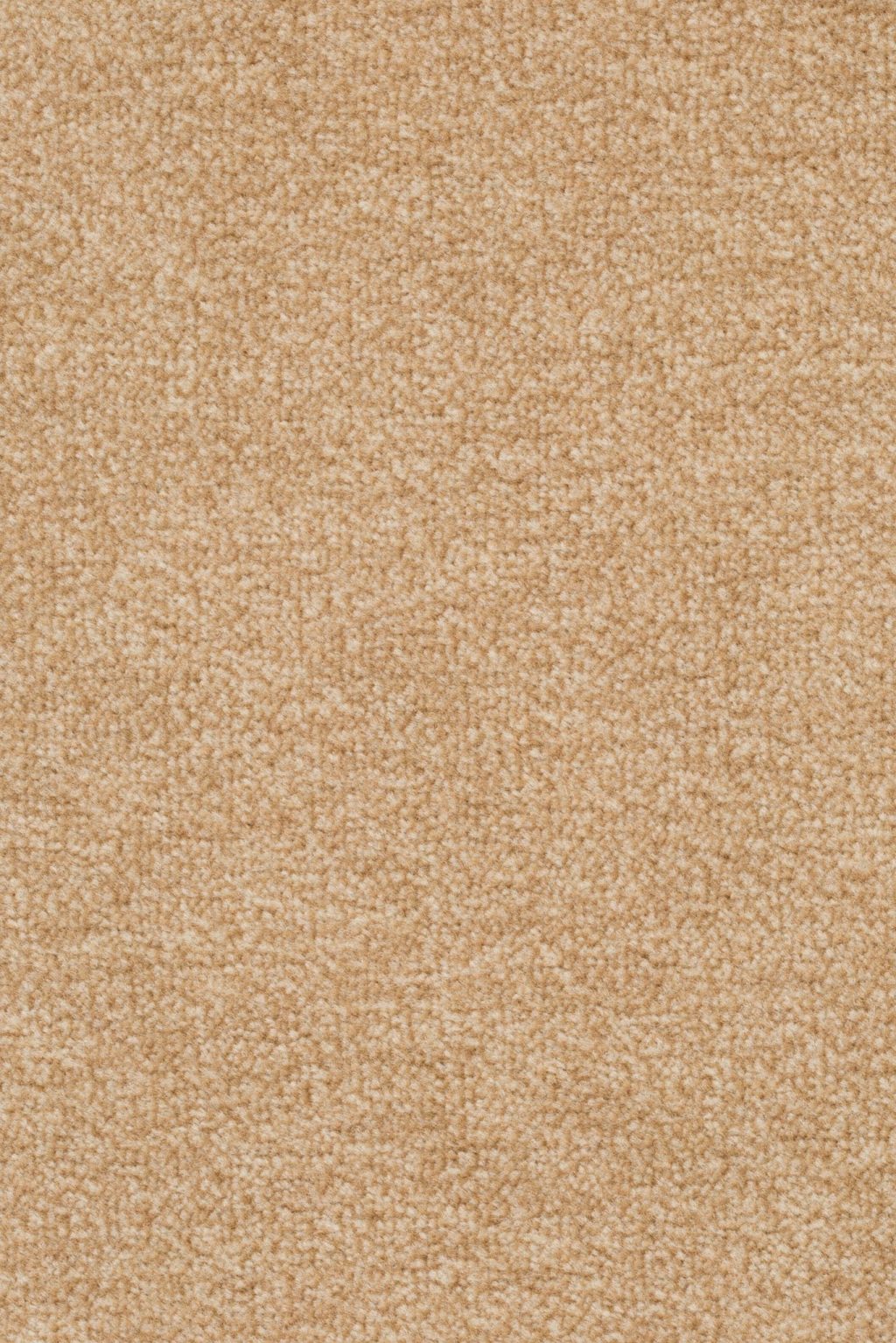 Homeline 27 Tapijt Artus 400cm Kleur 231