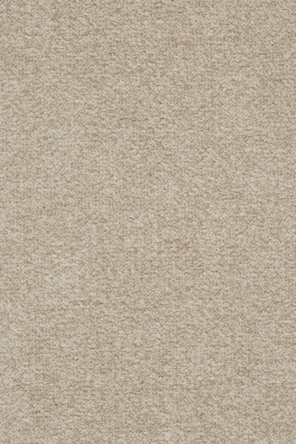 Homeline 27 Tapijt Artus 400cm Kleur 252