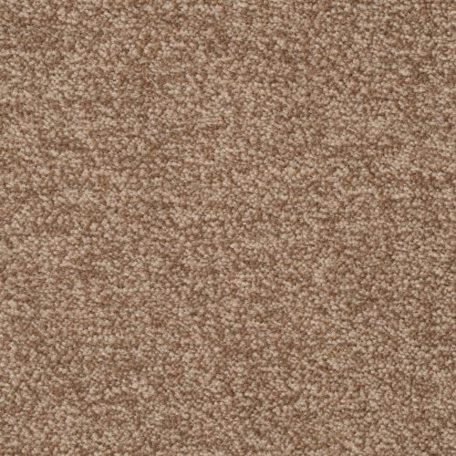 Homeline 27 Tapijt Artus 500cm Kleur 221