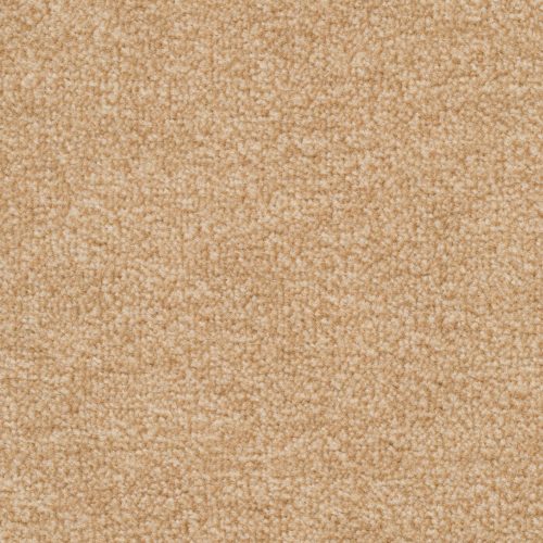 Homeline 27 Tapijt Artus 500cm Kleur 231