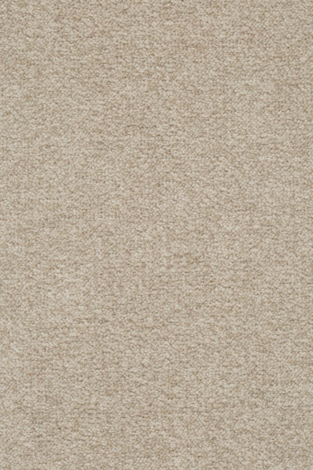 Homeline 27 Tapijt Artus 500cm Kleur 252