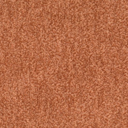 Homeline 27 Tapijt Artus 500cm Kleur 332