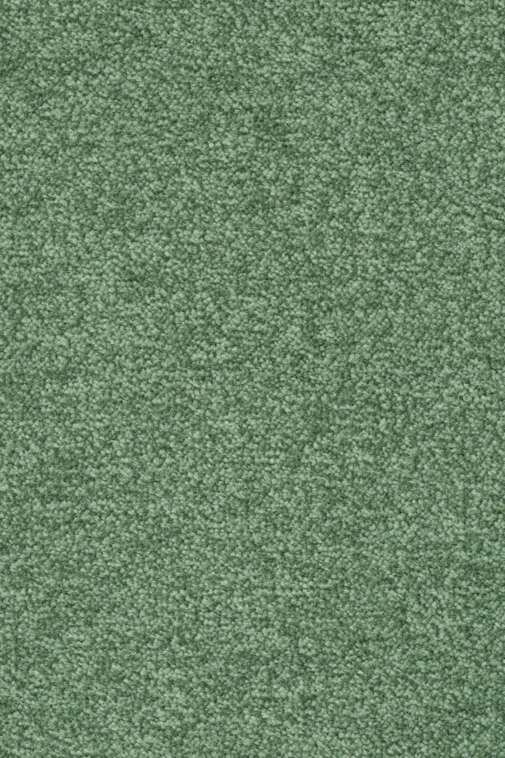 Homeline 27 Tapijt Artus 500cm Kleur 630