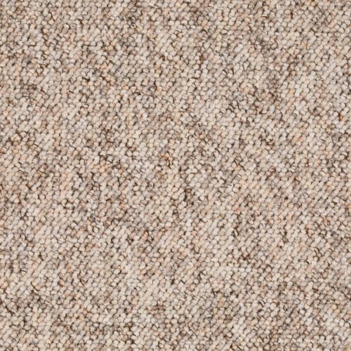 Homeline 27 Tapijt Drago 400 Cm Kleur 13