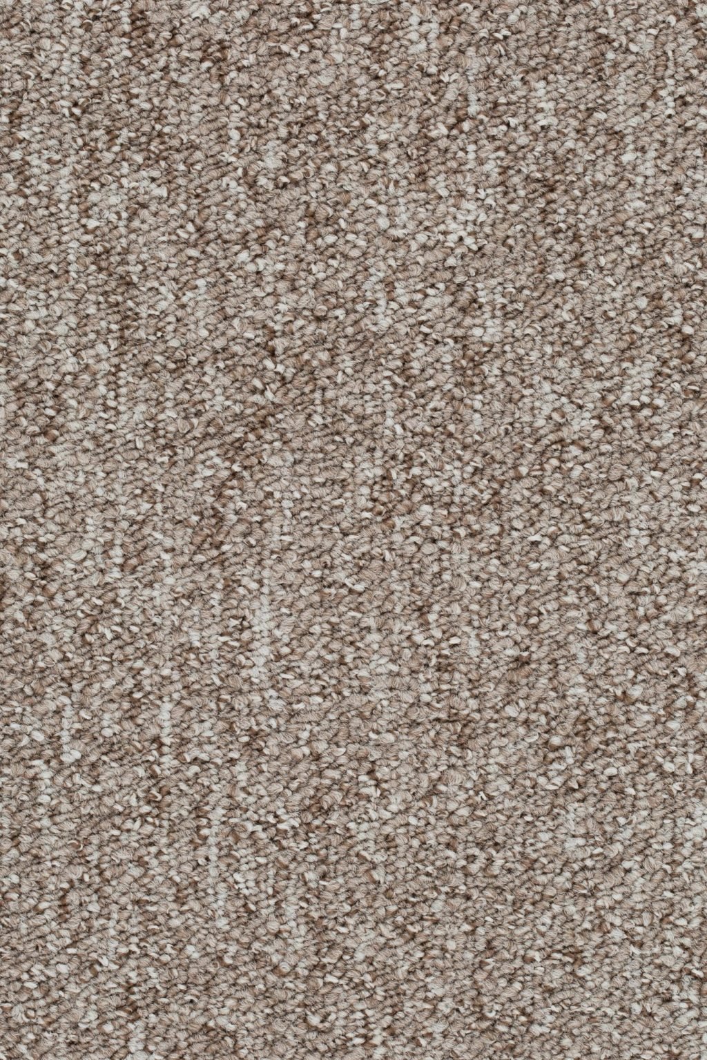 Homeline 27 Tapijt Evita 400cm Kleur 170