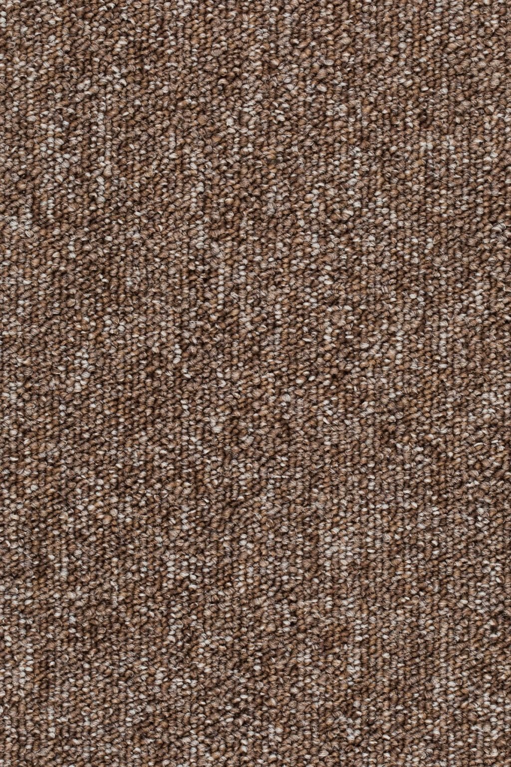 Homeline 27 Tapijt Evita 400cm Kleur 90