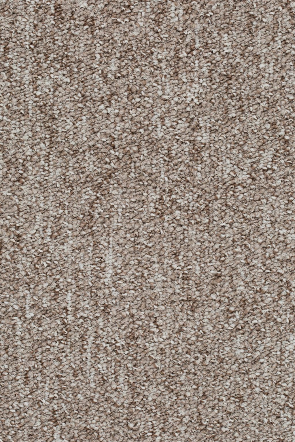 Homeline 27 Tapijt Evita 500cm Kleur 170