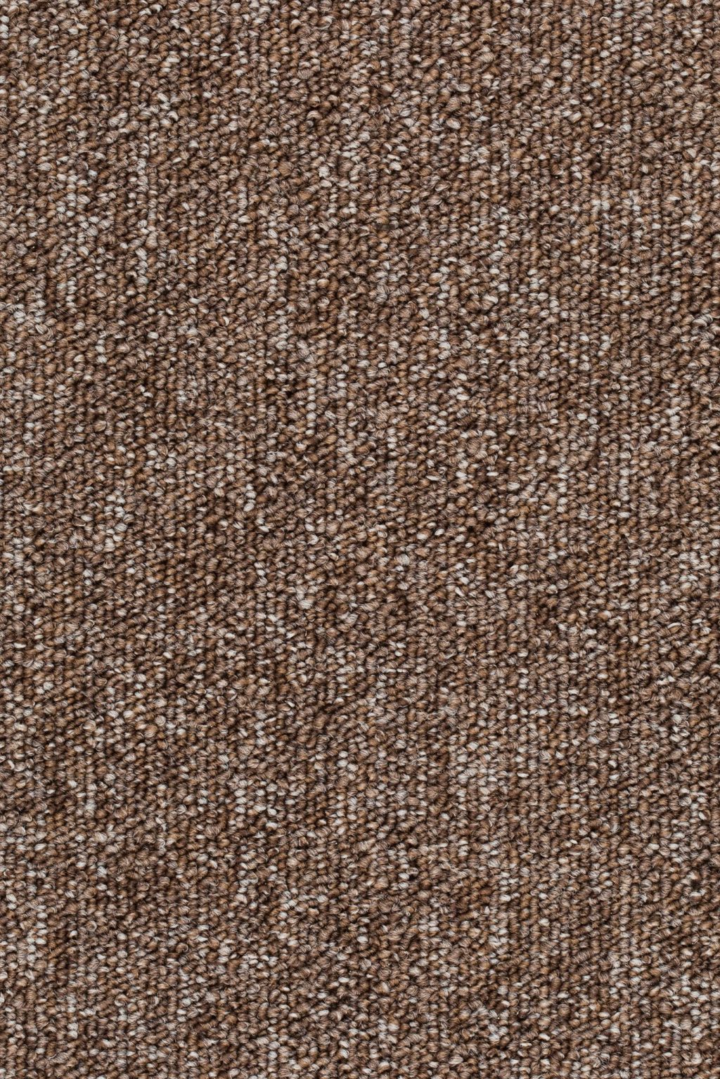 Homeline 27 Tapijt Evita 500cm Kleur 90