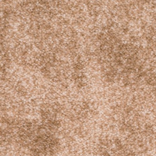 Homeline 27 Tapijt Filio 400 Cm Kleur 34