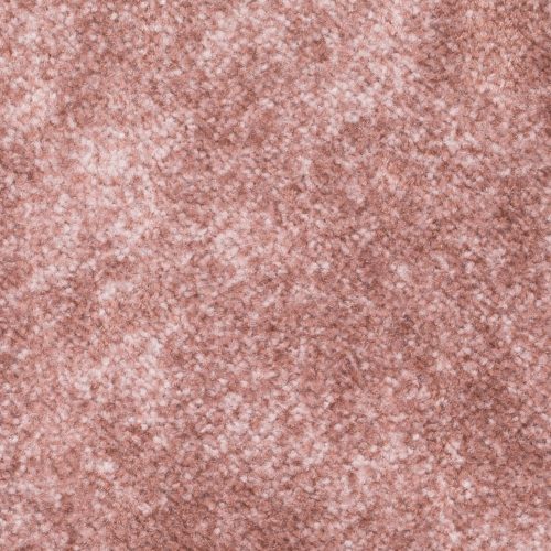 Homeline 27 Tapijt Filio 500 Cm Kleur 60