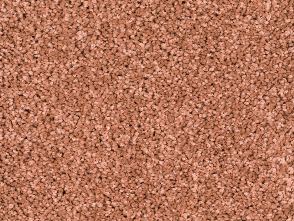 Homeline 27 Tapijt Heres 400 Cm Kleur 10