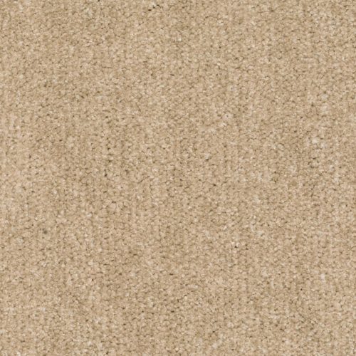 Homeline 27 Tapijt Leana 400 Cm Kleur 33