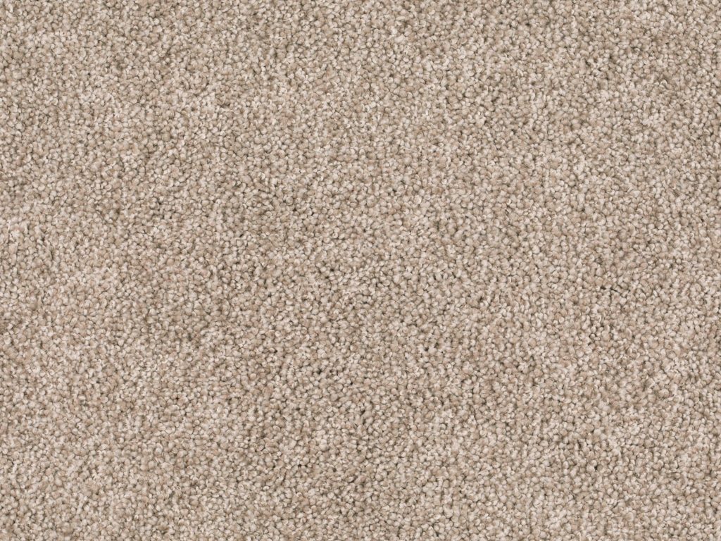 Homeline 27 Tapijt Lord 400 Cm Kleur 250