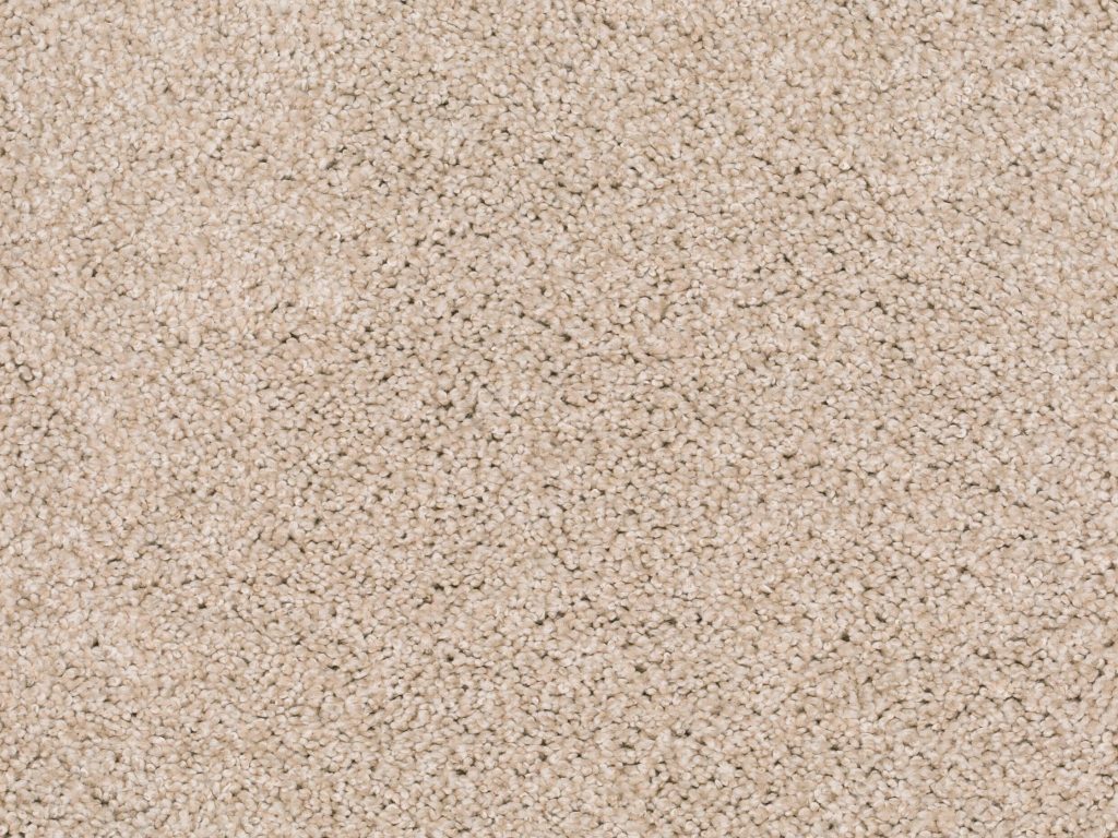 Homeline 27 Tapijt Lord 400 Cm Kleur 260