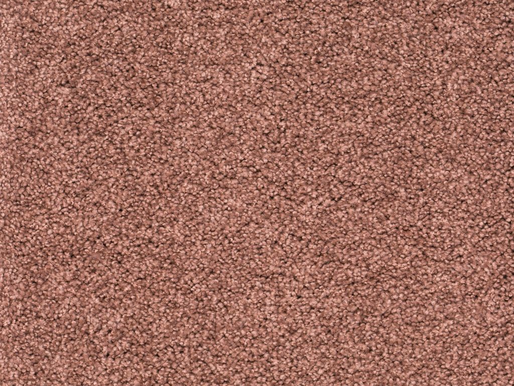 Homeline 27 Tapijt Lord 500 Cm Kleur 180