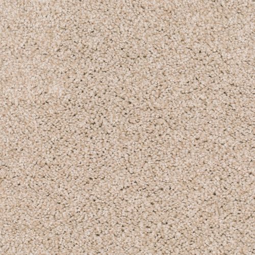 Homeline 27 Tapijt Lord 500 Cm Kleur 260