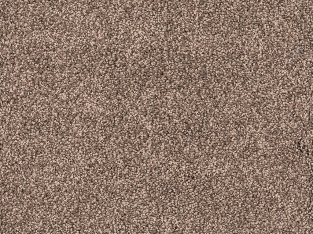 Homeline 27 Tapijt Lord 500 Cm Kleur 420