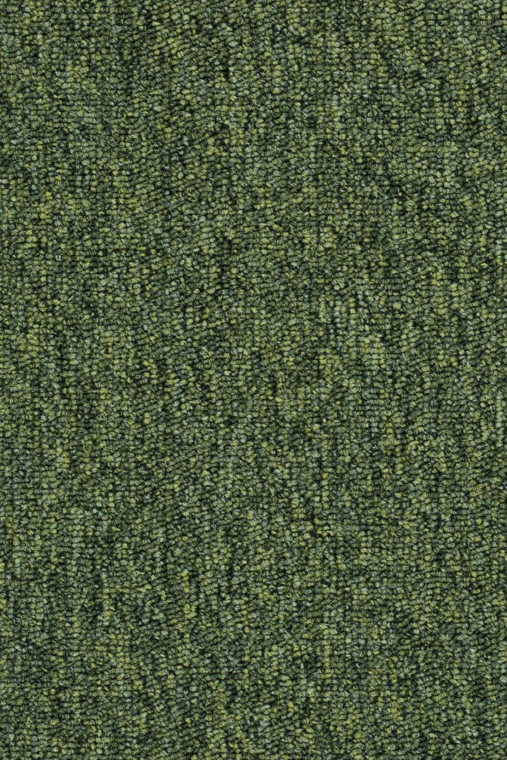 Homeline 27 Tapijt Lori 400cm Kleur 21