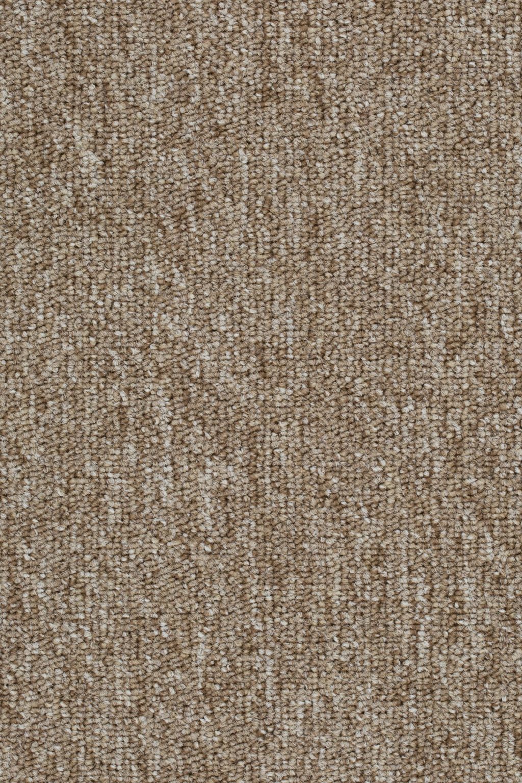 Homeline 27 Tapijt Lori 400cm Kleur 33