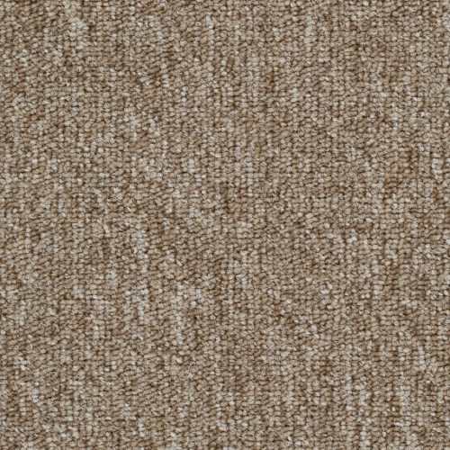 Homeline 27 Tapijt Lori 500cm Kleur 33