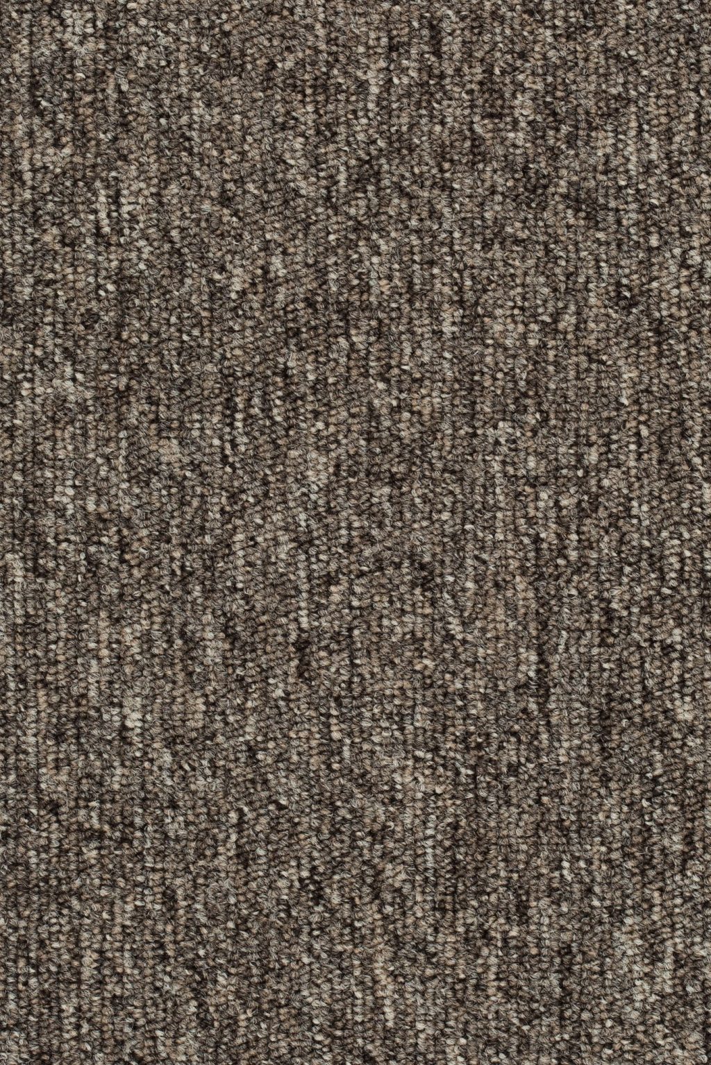 Homeline 27 Tapijt Lori 500cm Kleur 40